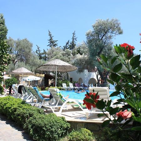 Toloman Bitezpark Apartments Bodrum Luaran gambar